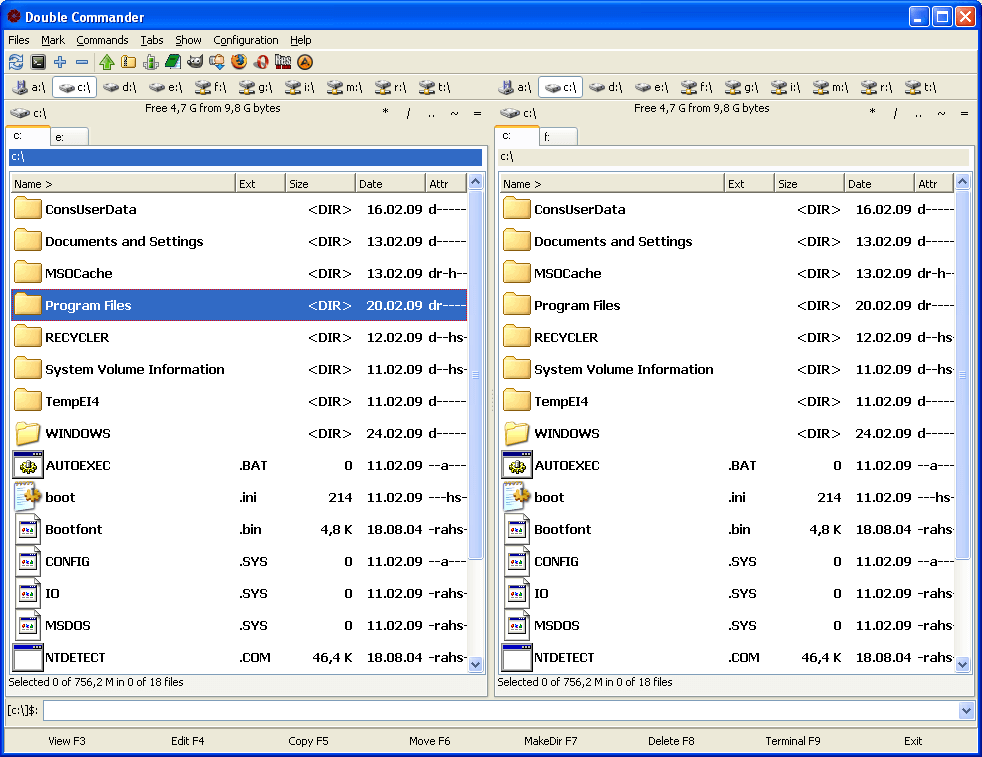Внешний вид Double Commander в Windows XP